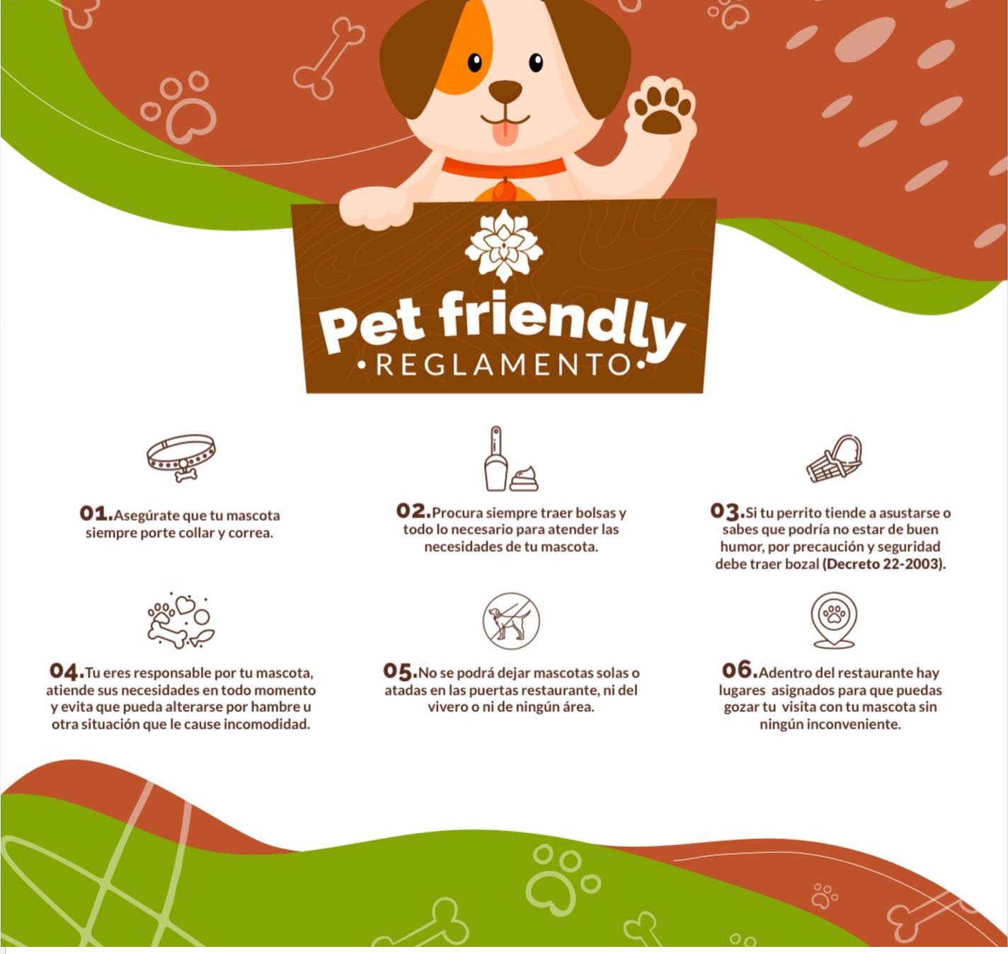 pet1 pet1